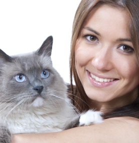 Estate planning and your pets